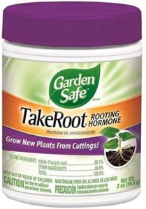 Garden Safe Takeroot Hormone