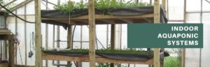 indoor aquaponic systems