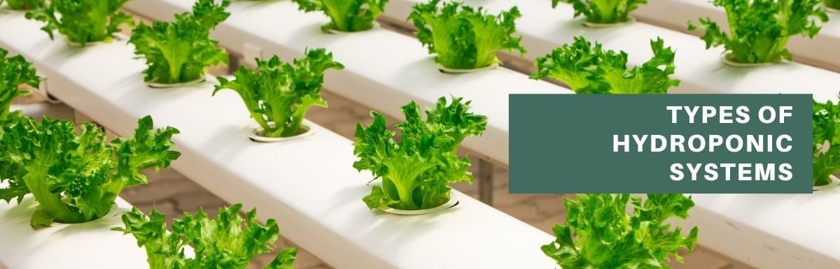 types of hydroponic systems